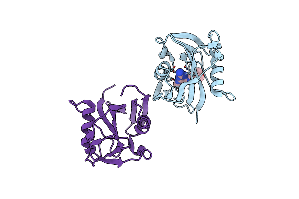 6JVS image