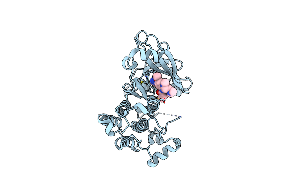 6JX4 image