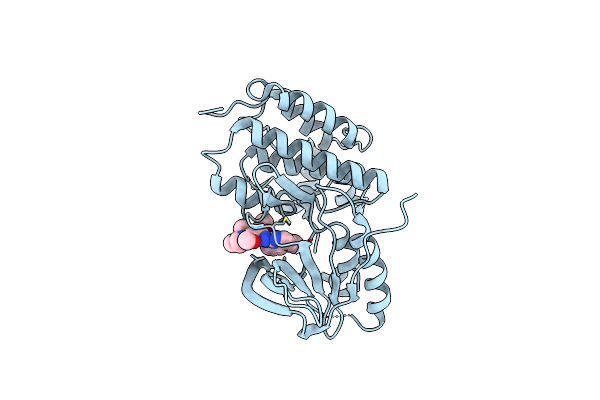 6JXT image
