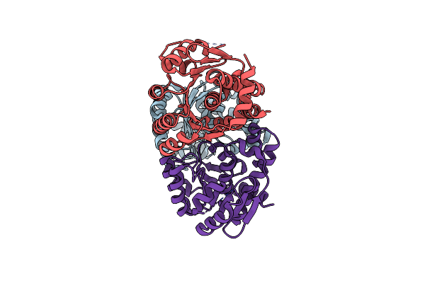 6JYY image
