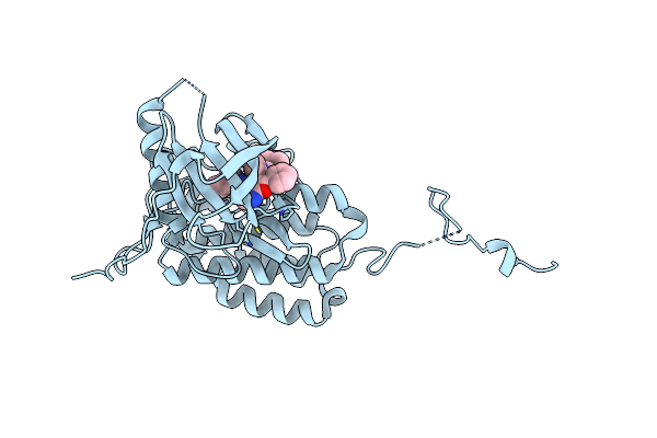 6JZ0 image