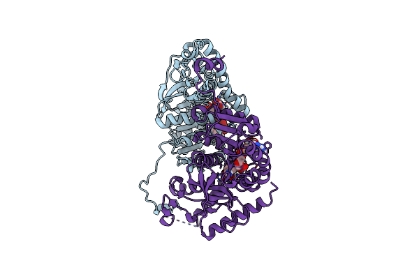 6K13 image