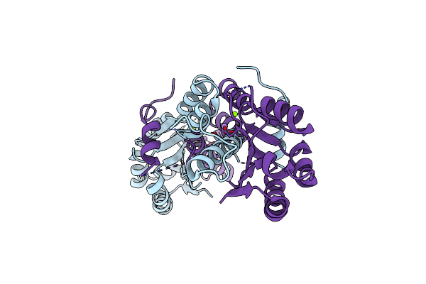 6K1A image