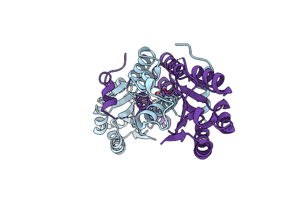6K1B image