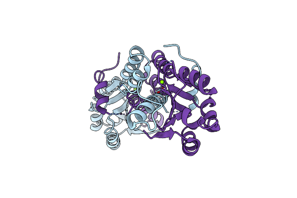 6K1C image