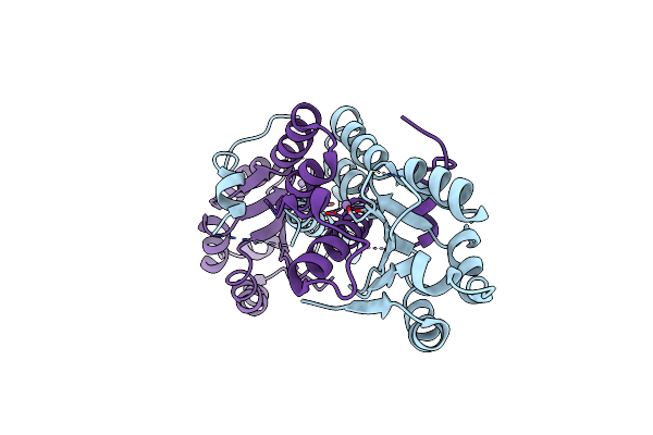 6K1D image
