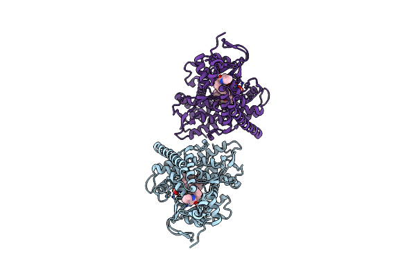 6K24 image