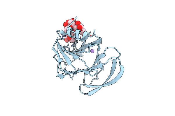 6K2O image