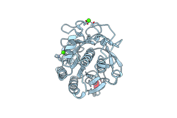 6K2T image