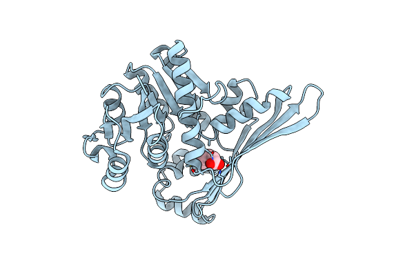 6K36 image