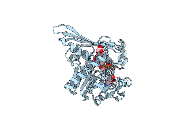 6K37 image