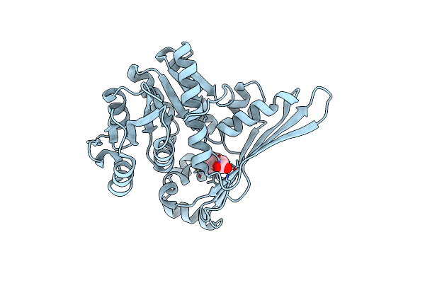 6K38 image
