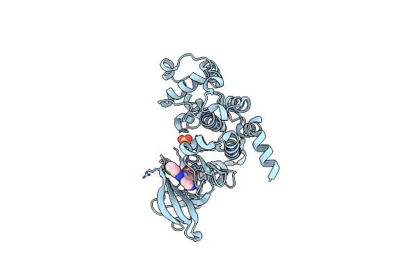 6K3L image