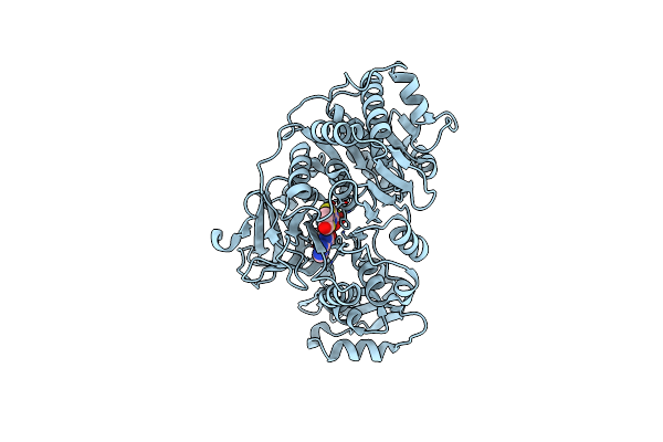 6K4C image