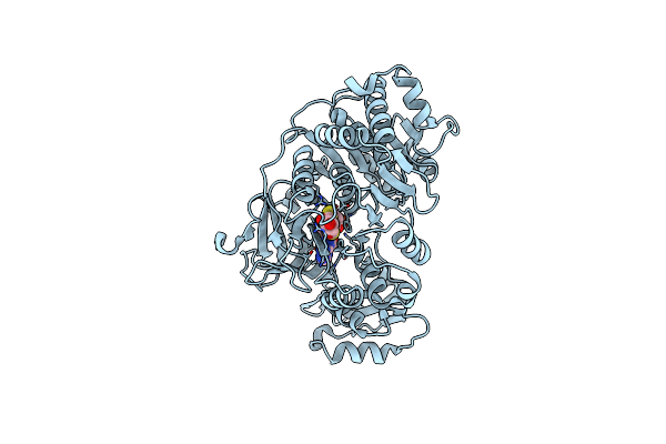 6K4D image