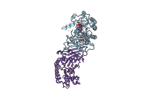 6K4G image