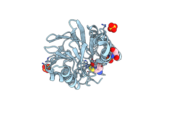 6K4X image