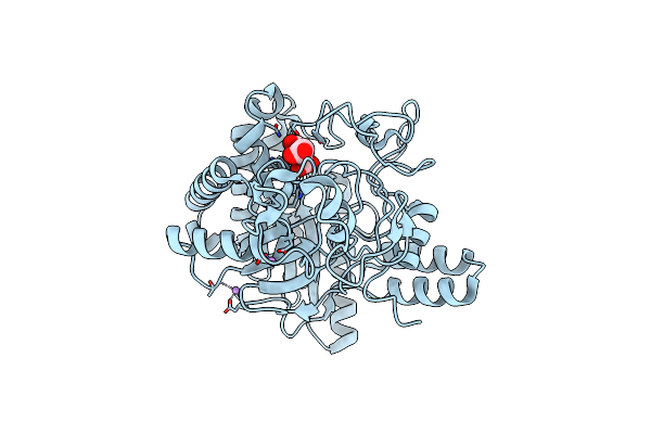 6K53 image