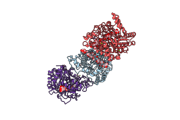 6K55 image