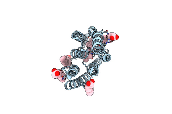 6K6K image