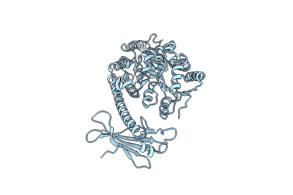 6K7D image