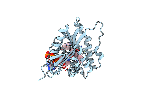 6K80 image