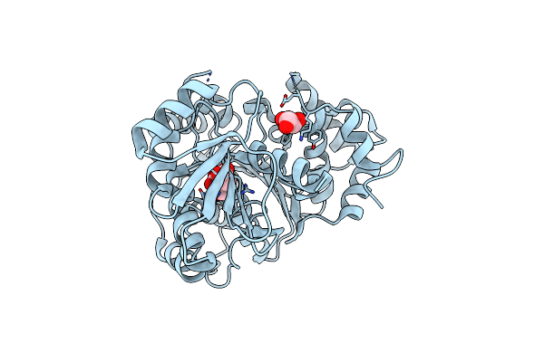 6K8C image