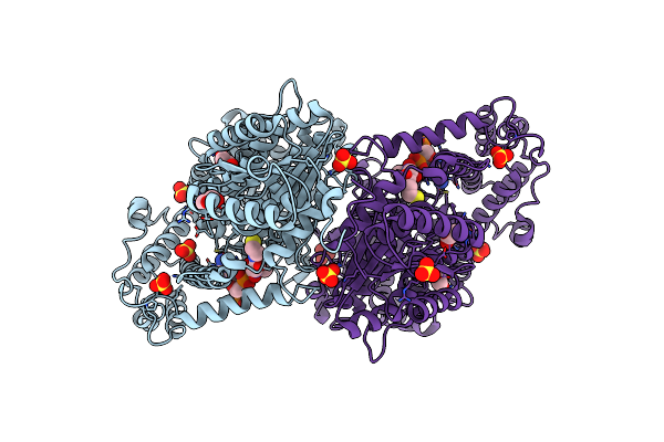 6K8T image
