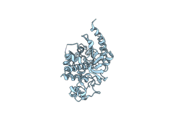 6K8X image