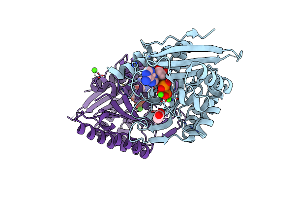 6K8Z image