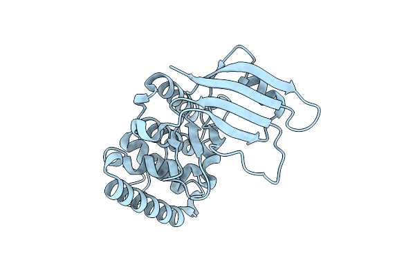 6K93 image