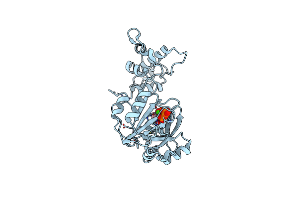 6K9A image
