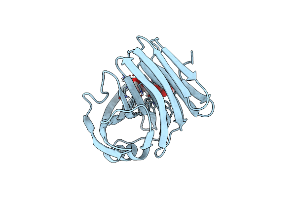 6K9X image