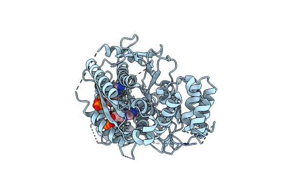 6KBD image
