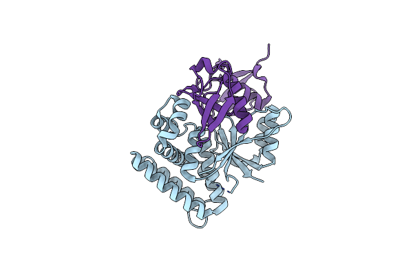 6KBE image
