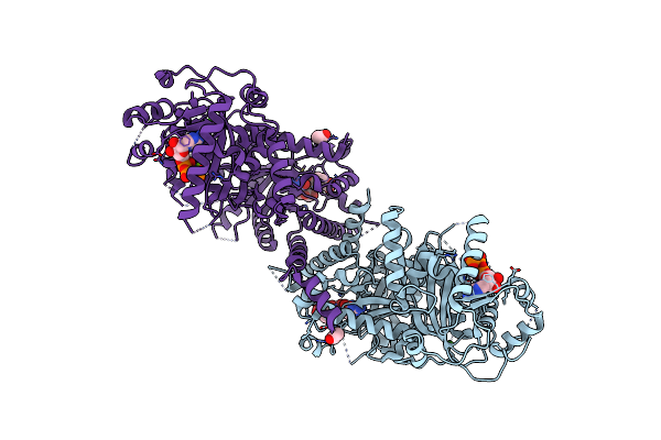 6KCL image