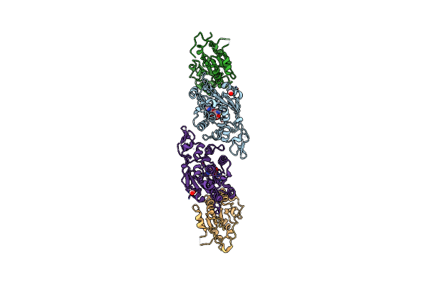 6KDP image