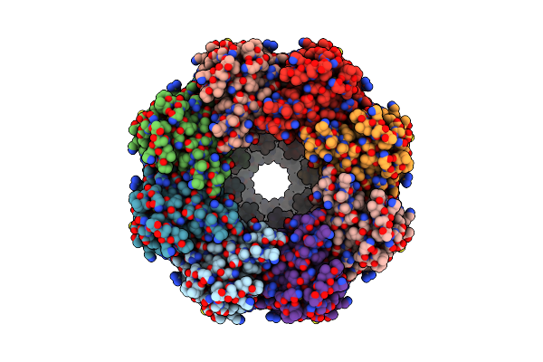 6KFF image