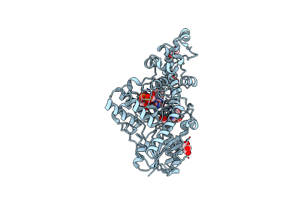 6KII image