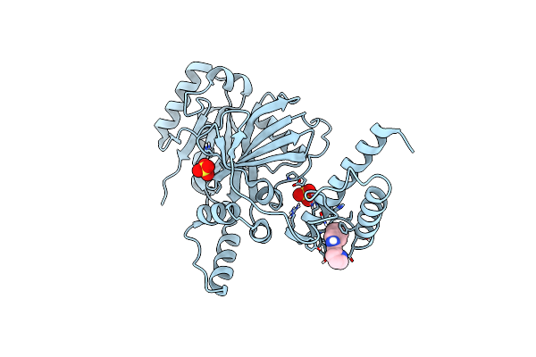 6KKV image