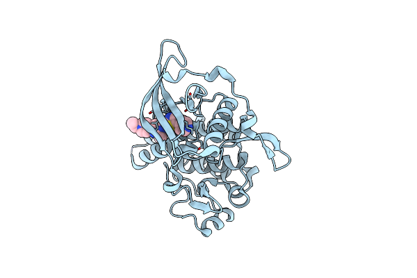 6KLA image