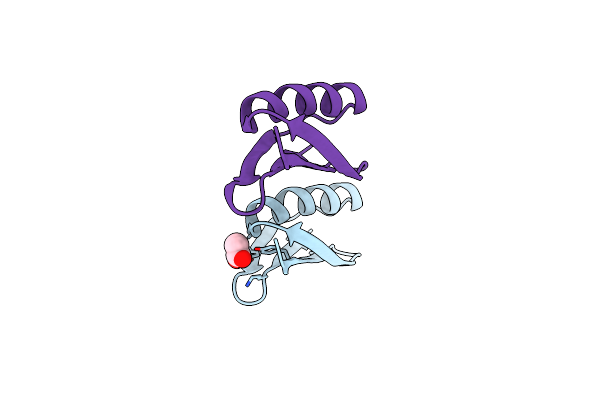 6KMC image