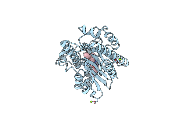 6KMD image