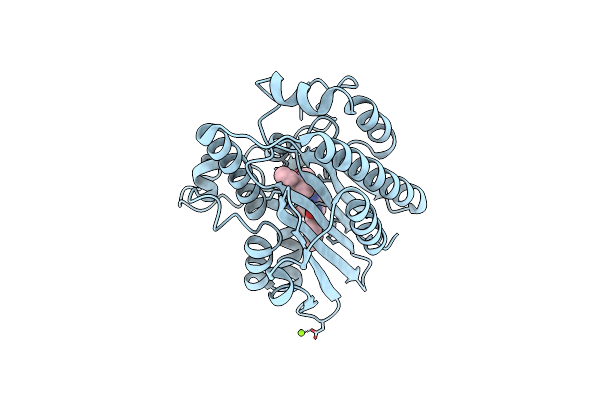 6KME image