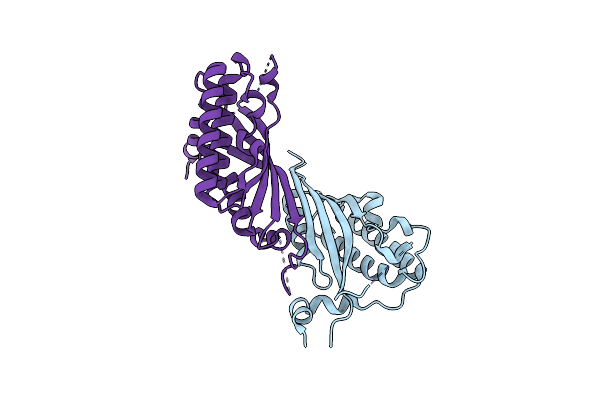 6KNY image