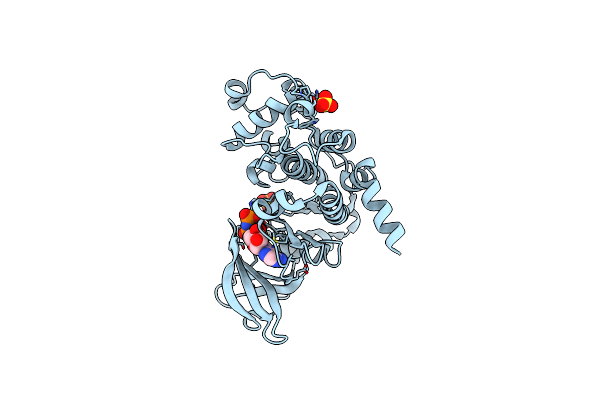 6KO6 image