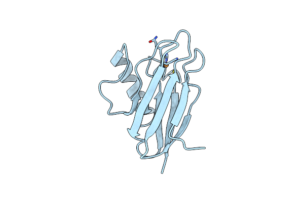 6KOL image