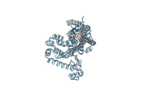 6KPC image