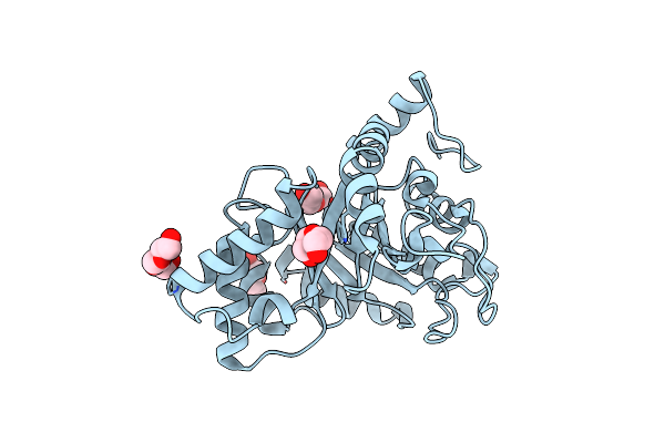 6KPL image
