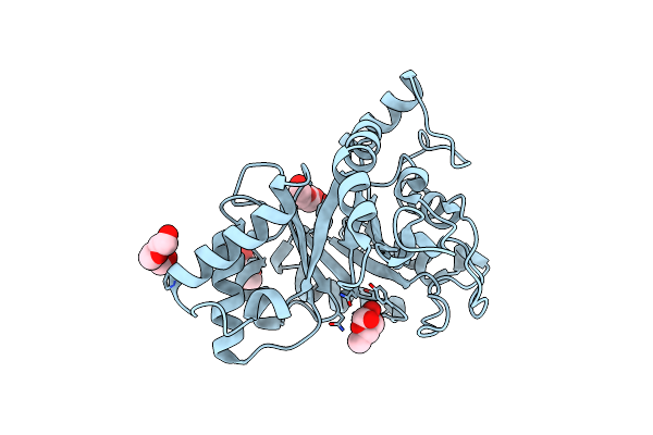 6KPM image